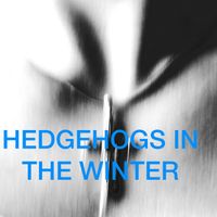 Nemesis - Hedgehogs in the Winter