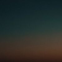 Jonas Gewald - felt.02