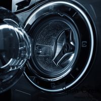 Maximo Mayorga - Spin Cycle
