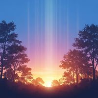 LofiForest - Forest Gentle Flow