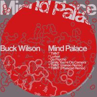 Buck Wilson - Mind Palace