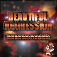 Domenico Pandolfo - Beautiful Aggression (Original Mix)