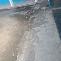 Tasi - Kilau diujung jemari