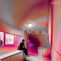 Alez - What Now ALP (Instrumental)