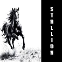 Stallion - Old Fashioned Boy