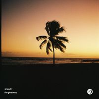 shandr - Forgiveness