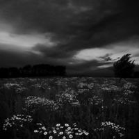 apocalypse - 错位时空 - 治愈版