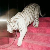 UGLY - BELLA VISTA (Explicit)