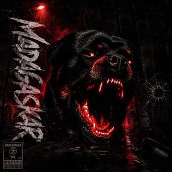 VES - MADAGASKAR (Explicit)