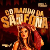 Babado Novo - Comando da Sanfona