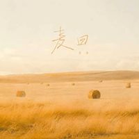 邵帅 - 麦田