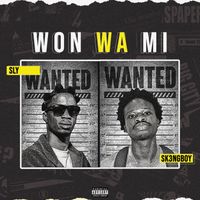 Sly - Won Wa Mi (feat. Sk3ngboy)