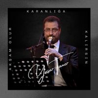 Yasar Taner - Akşam Olur Karanlığa Kalırsın