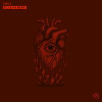 ToMix - Stole My Heart