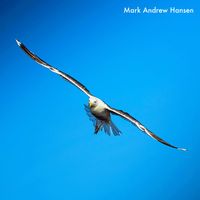 Mark Andrew Hansen - Fly On (Radio Edit)
