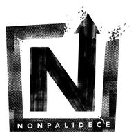 Nonpalidece - High Tide Or Low Tide