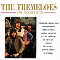 The Tremeloes - The Biggest Hits