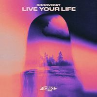 Groovecat - Live Your Life
