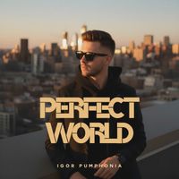 Igor Pumphonia - Perfect World