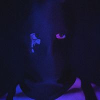 Konrad - Waiting (Explicit)