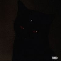 Benz J - GATA DE MIS MALES (Explicit)