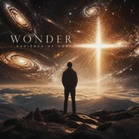 Audience of One - Wonder
