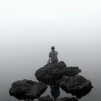 Pop the Bear - Sometimes