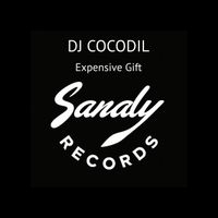 Dj Cocodil - Expensive Gift