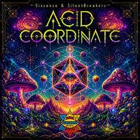 Sixsense, SilentBreakers - Acid Coordinate