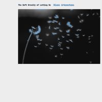 Diane Arkenstone - The Soft Gravity of Letting Go