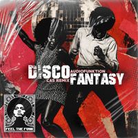 Audiofunktion - Disco Fantasy