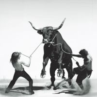 AGONY - never die (Explicit)