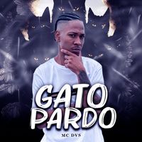 Mc DVS and DJ LUCAS MIX - Gato pardo (Explicit)
