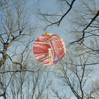 They Might Be Giants - Glean