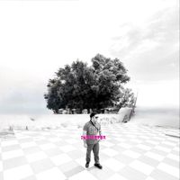 GP - Inspector