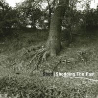 Shed - Shedding the Past