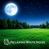 Relaxing White Noise - White Noise Cricket Sounds for Tinnitus Relief (Loop, No Fade)