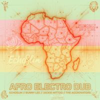 EchoSlim, Bunny Lee, Jackie Mittoo, The Aggrovators - Afro Electro Dub