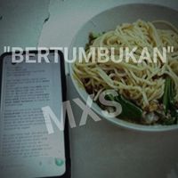 MXS - Bertumbukan