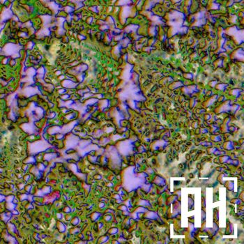 yert - submerge