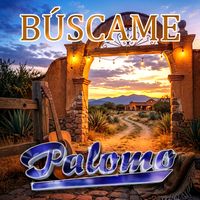 Palomo - Búscame