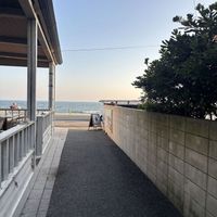 Adrian - 4pm in Kamakura