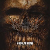 Modular Phaze - Flesh Interface