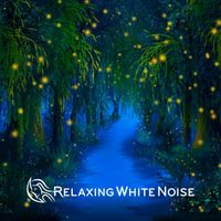 Relaxing White Noise - White Noise Sounds for Sleeping All Night (Loop, No Fade)