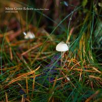 CROIX HEALING - Silent Grove Echoes: Healing Piano Nature