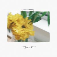 Libre - Anone