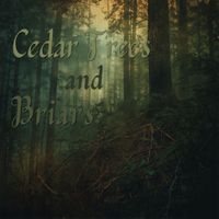 Stephanie D'Abruzzo - Cedar Trees and Briars