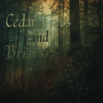 Stephanie D'Abruzzo - Cedar Trees and Briars