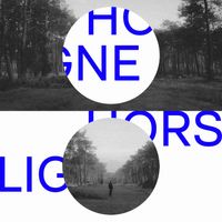 Blazers - Hors Ligne