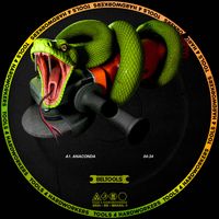 Beltran - Anaconda